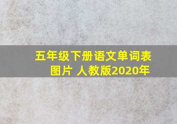 五年级下册语文单词表图片 人教版2020年